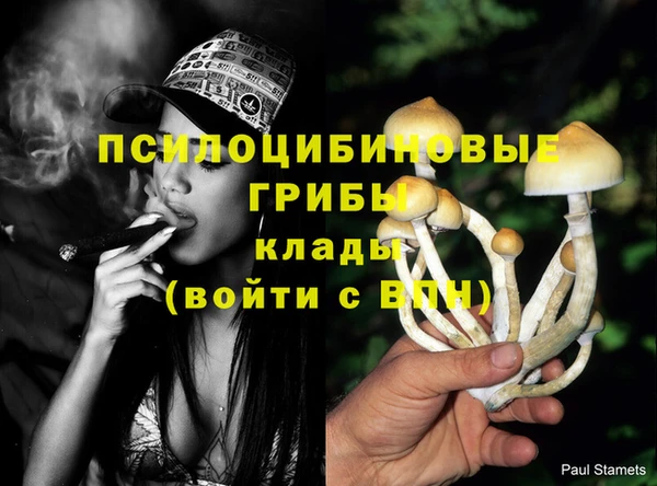 альфа пвп Верхний Тагил