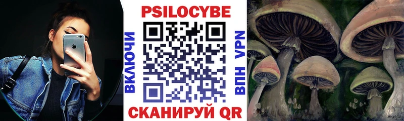 KRAKEN ссылки  Ульяновск  Псилоцибиновые грибы Psilocybine cubensis  где купить наркотик 